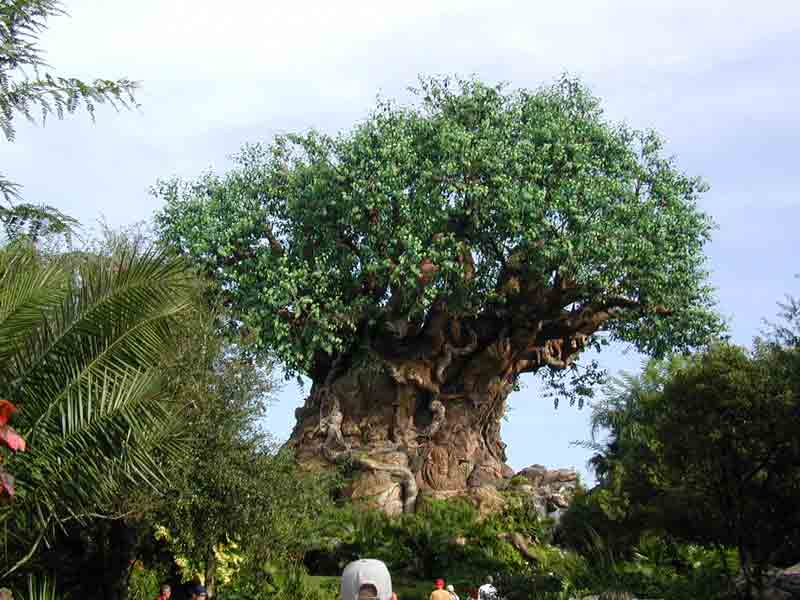 photo1.jpg