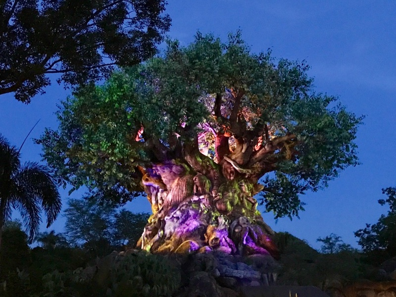 Disney's Animal Kingdom Tree of Life Night