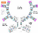 mt_ignore: Jambo Floorplan