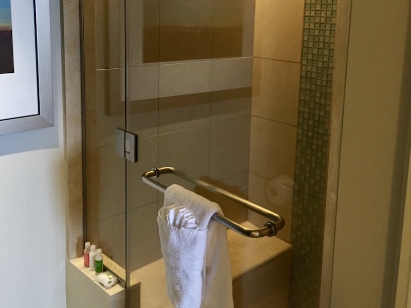 Master bathroom shower stall