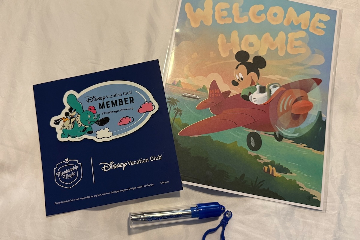 Disney Cruise Line DVC Swag 2025 1