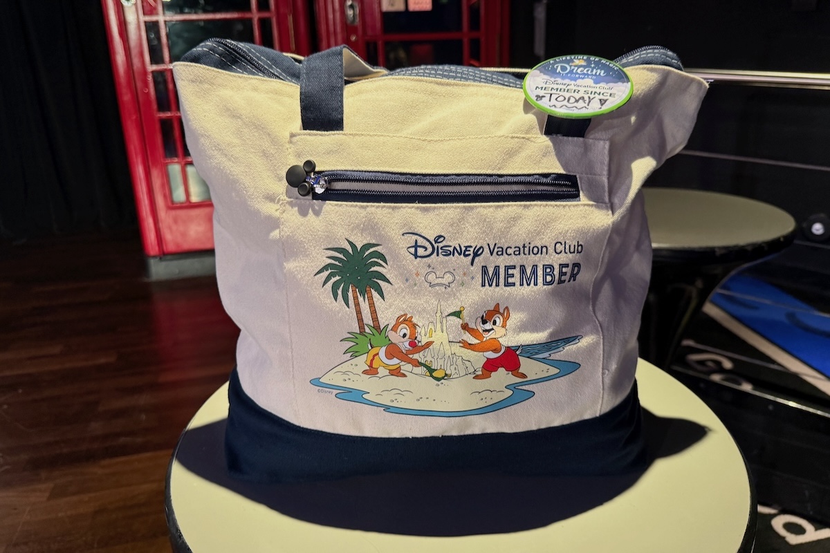 Disney Vacation Club Promo Bag 2025