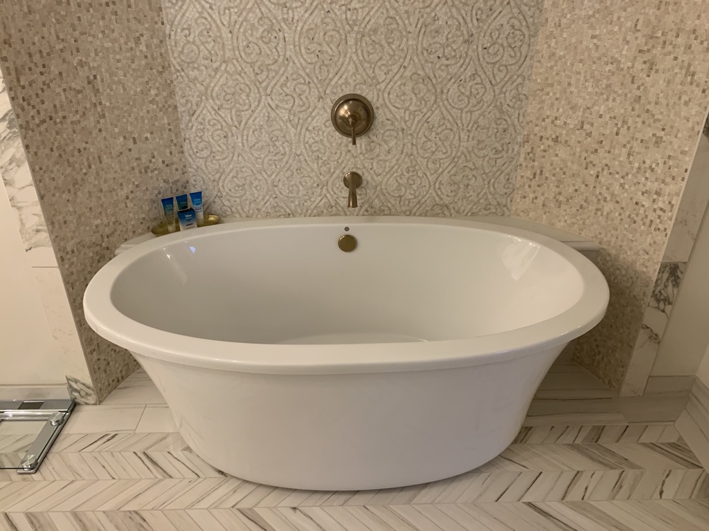 Master bathroom tub