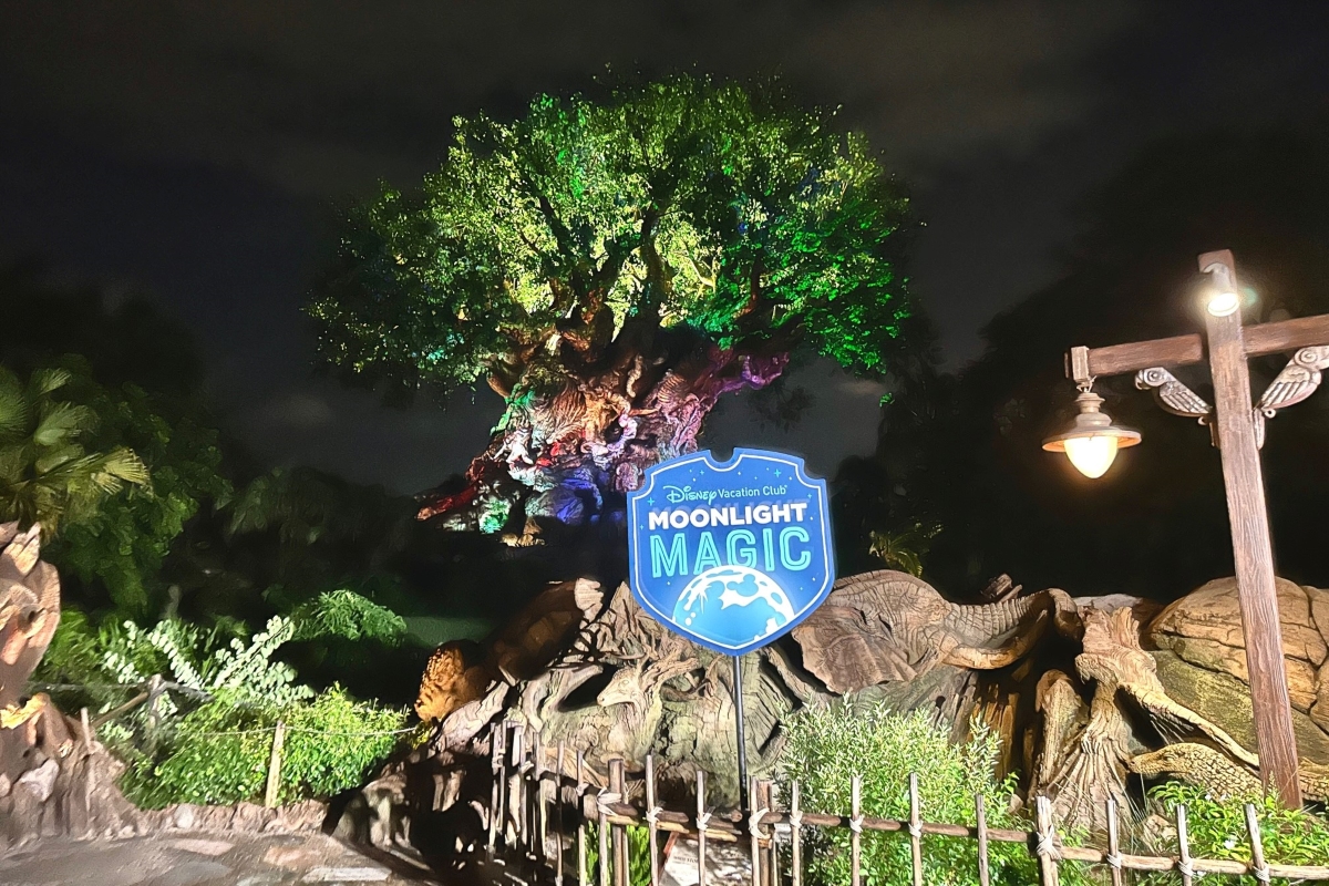 Disney Vacation Club Moonlight Magic Dates Announced for 2024