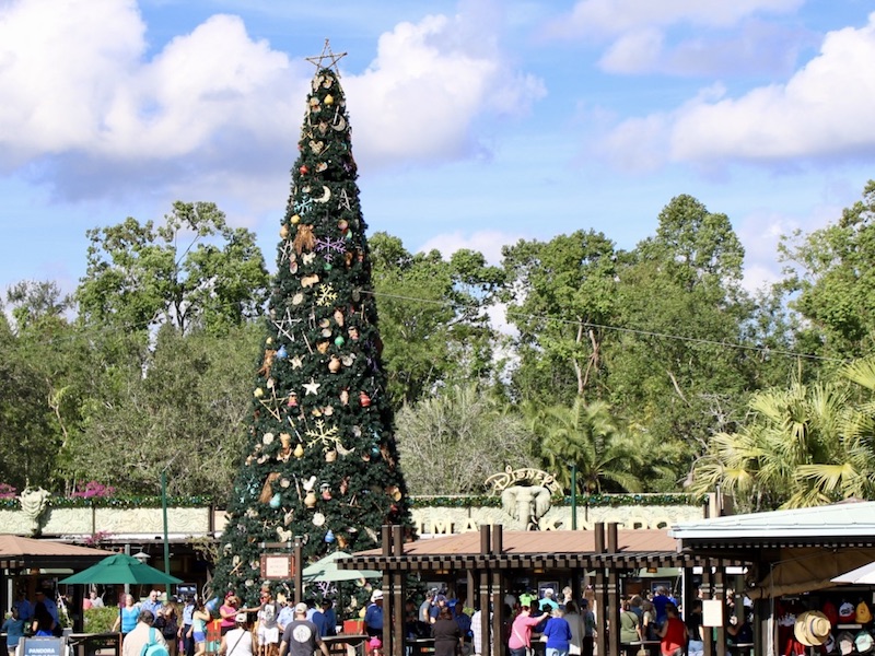 Disney's Animal Kingdom Holiday 2018