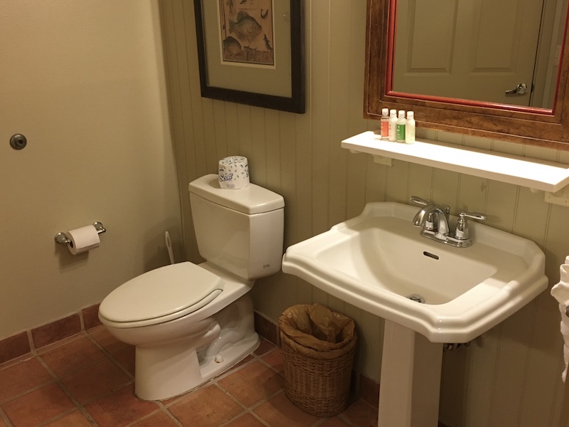 Master bathroom sink and toilet