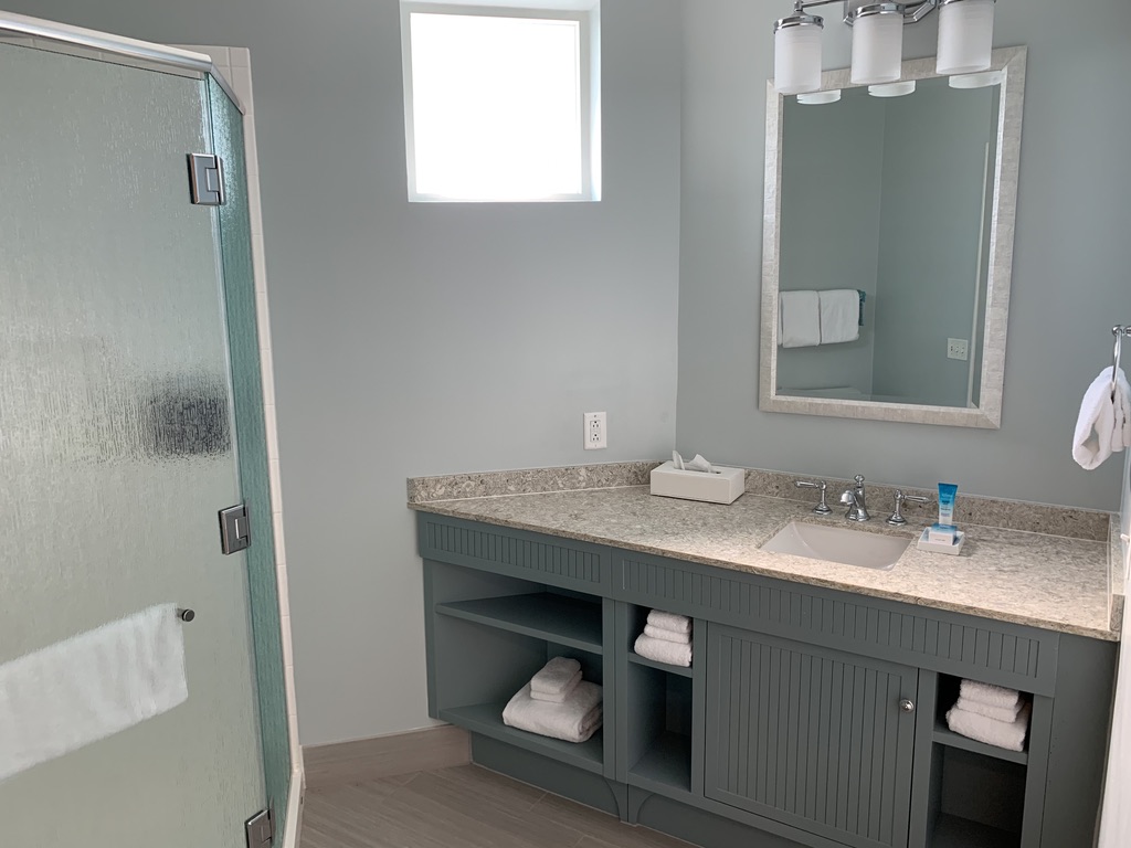 Master bathroom vanity and shower stall