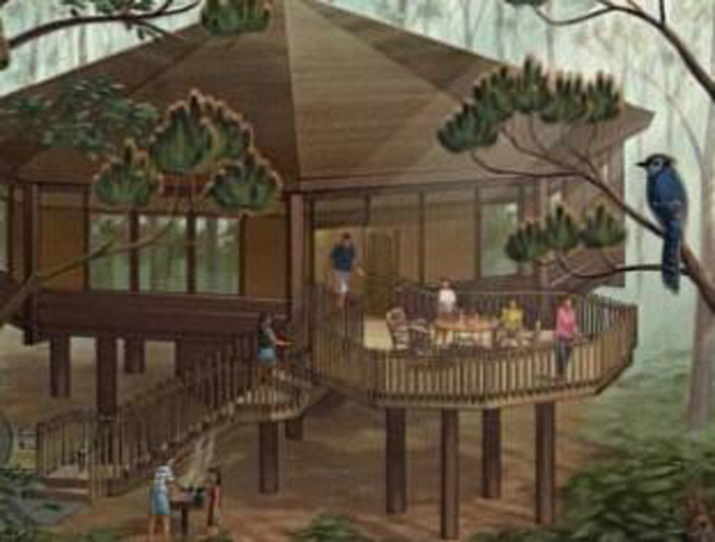 Treehouse Villas at Saratoga Springs