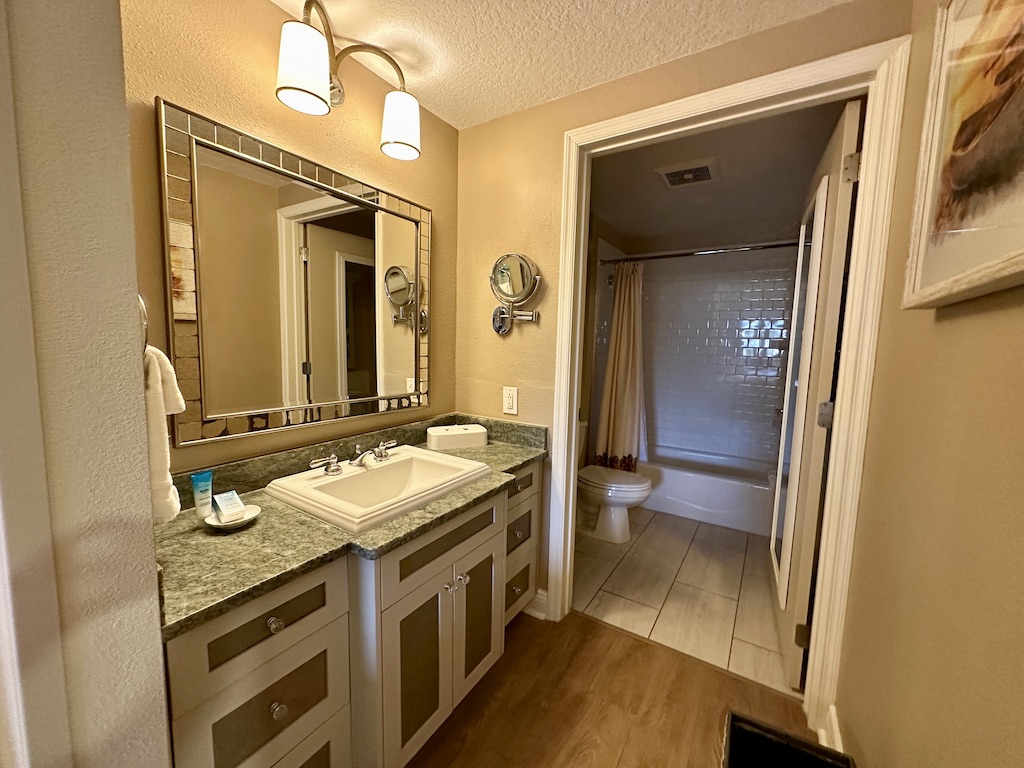 Bathroom vanity and tub/shower entry