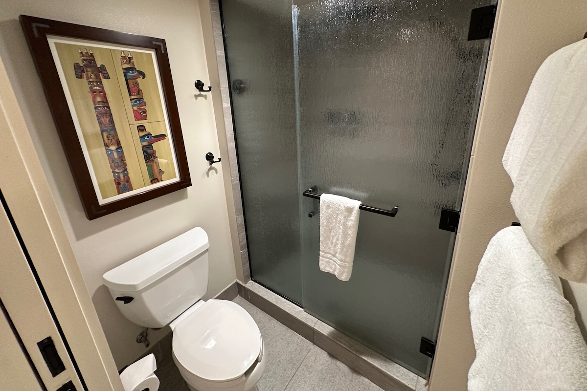 Guest bathroom walk-in shower and commode