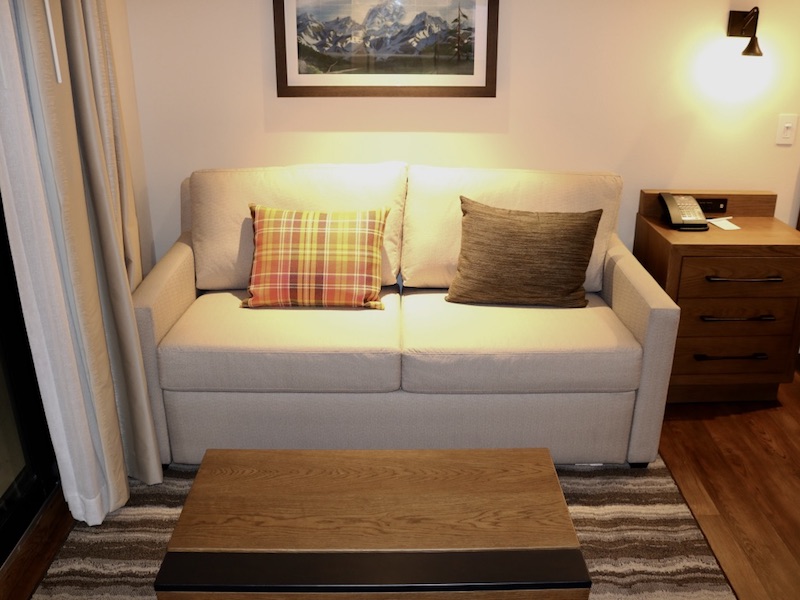 Full size sofa bed and coffee table