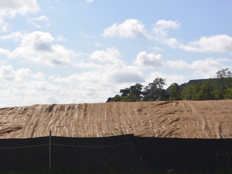 Wilderness Lodge Construction - June 2016