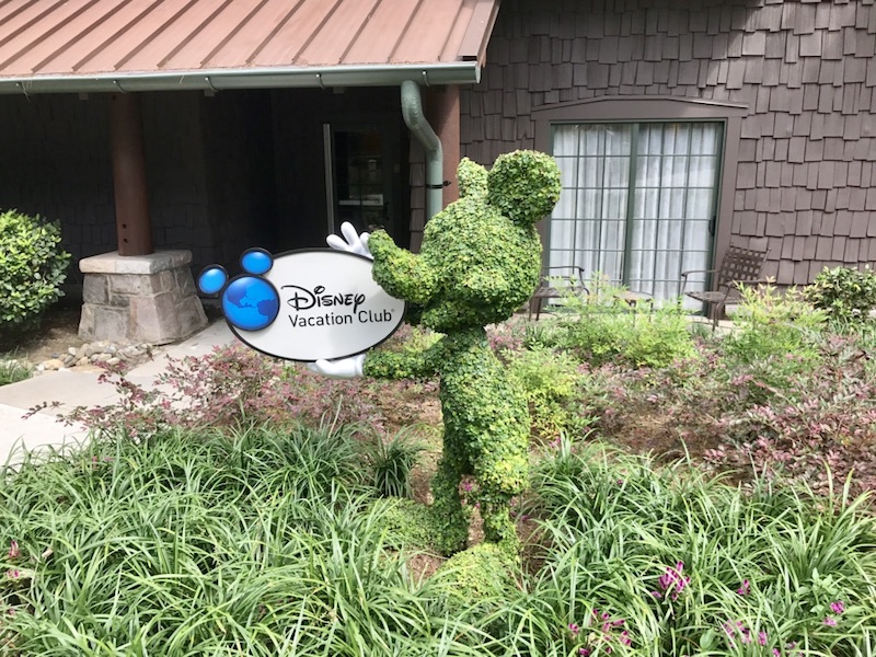 DVC Mickey Mouse topiary